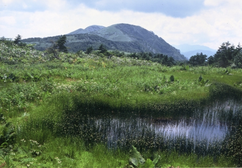 ⑩願教寺山