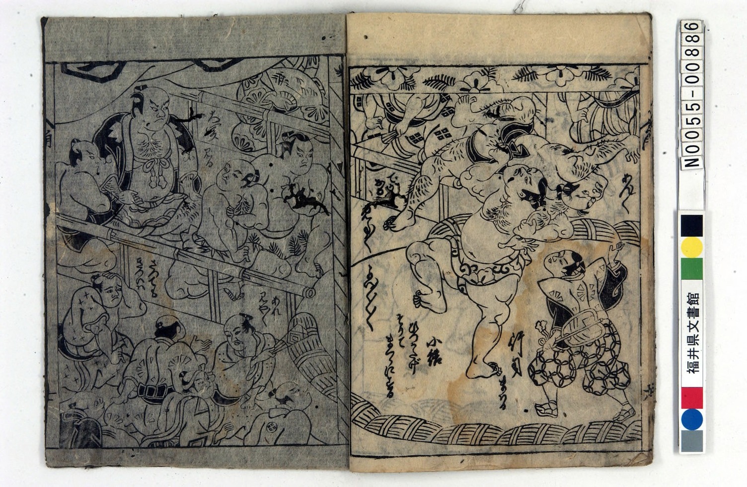 新板大相撲 絵尽6コマ目 新板大相撲 絵尽6コマ目