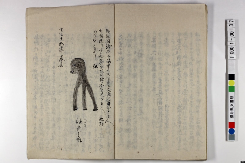 越前国主記 越前国主記