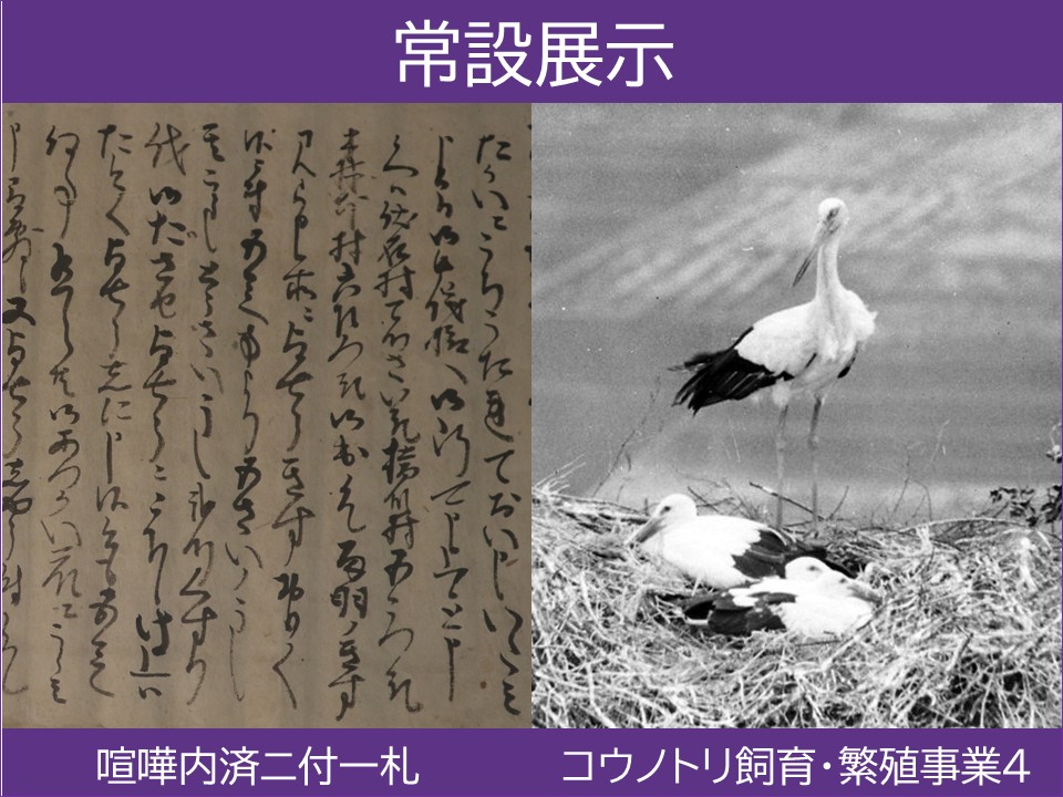 キービジュアル常設展示202504
