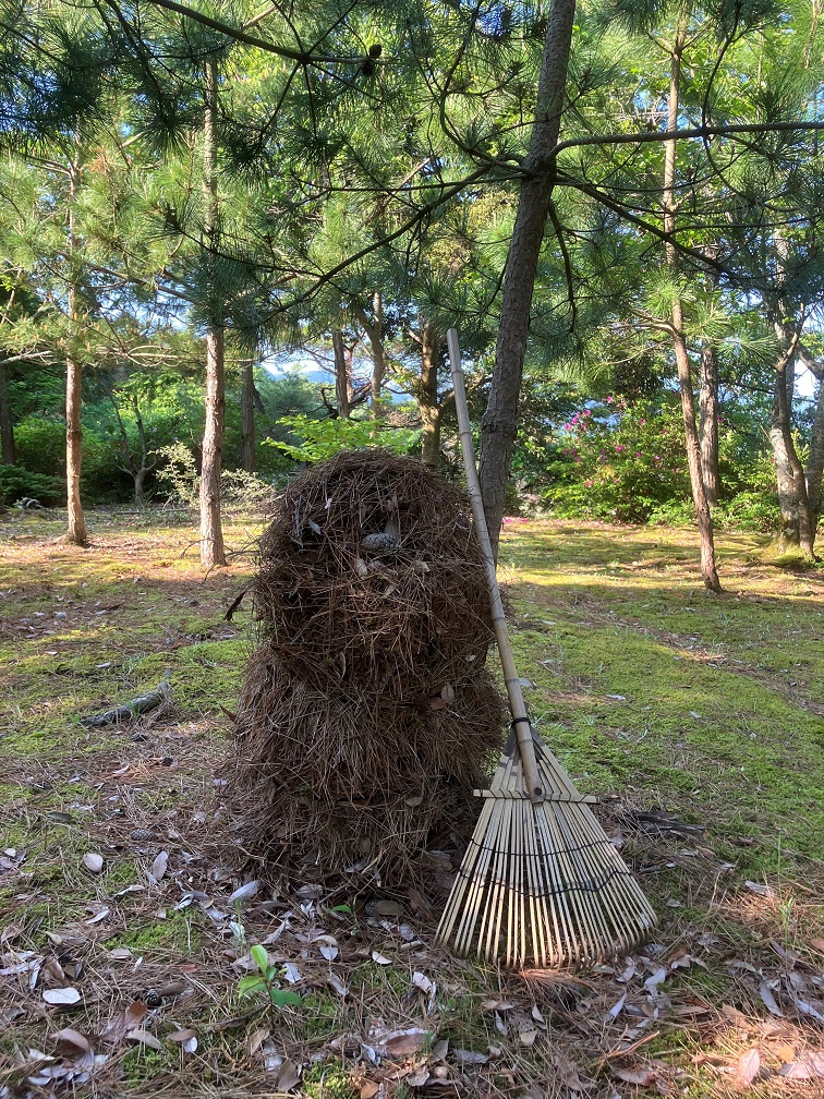 復元したシャデ1束とベブラ 復元したシャデ1束とベブラ