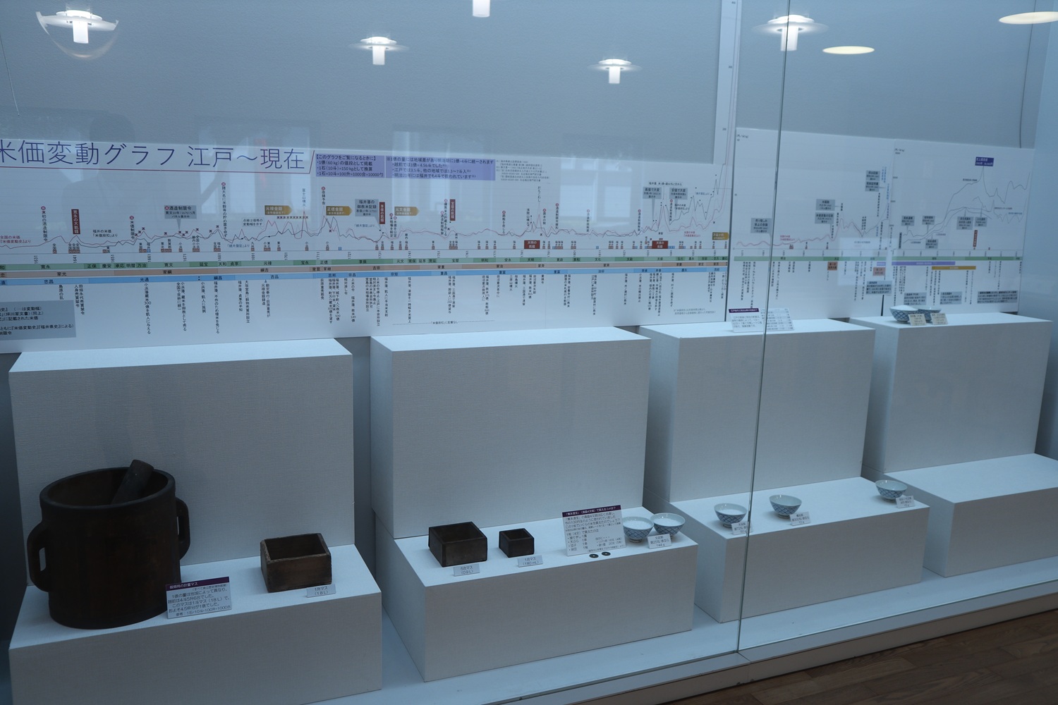 展示の様子