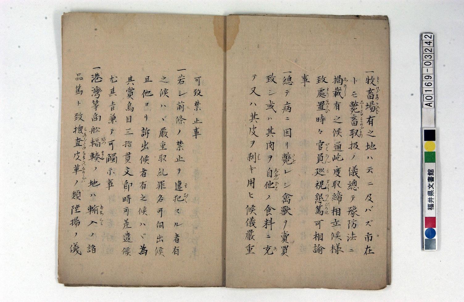 牛痘2
