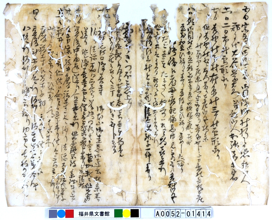A005201414-004uN^v摜