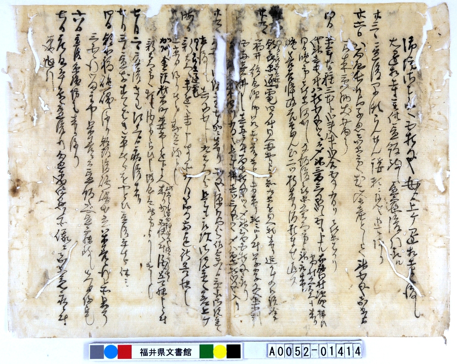 A005201414-011uN^v摜