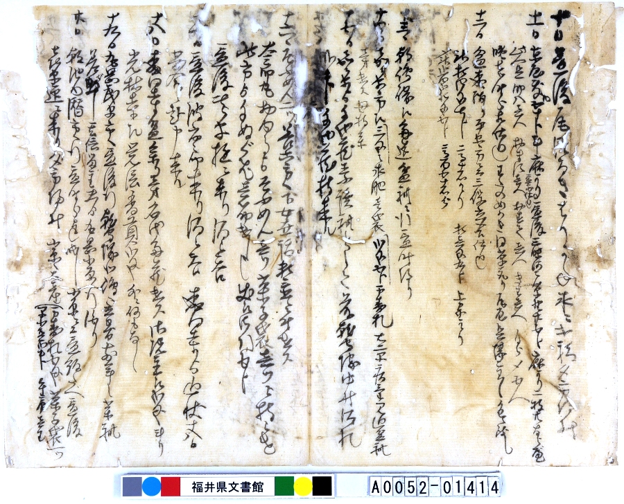 A005201414-013uN^v摜
