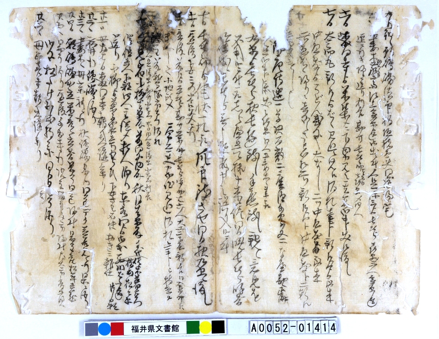 A005201414-017uN^v摜