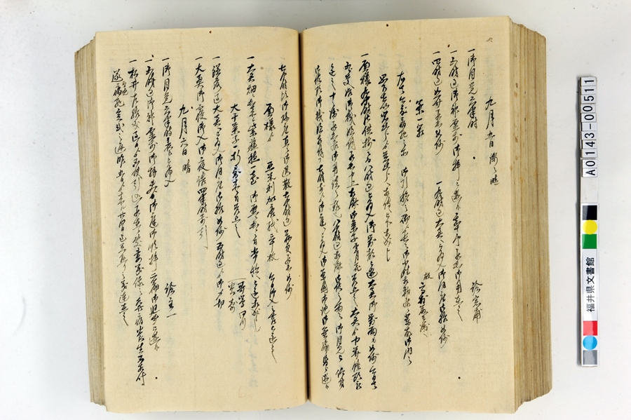 「御側向頭取御用日記」（1）193ページ