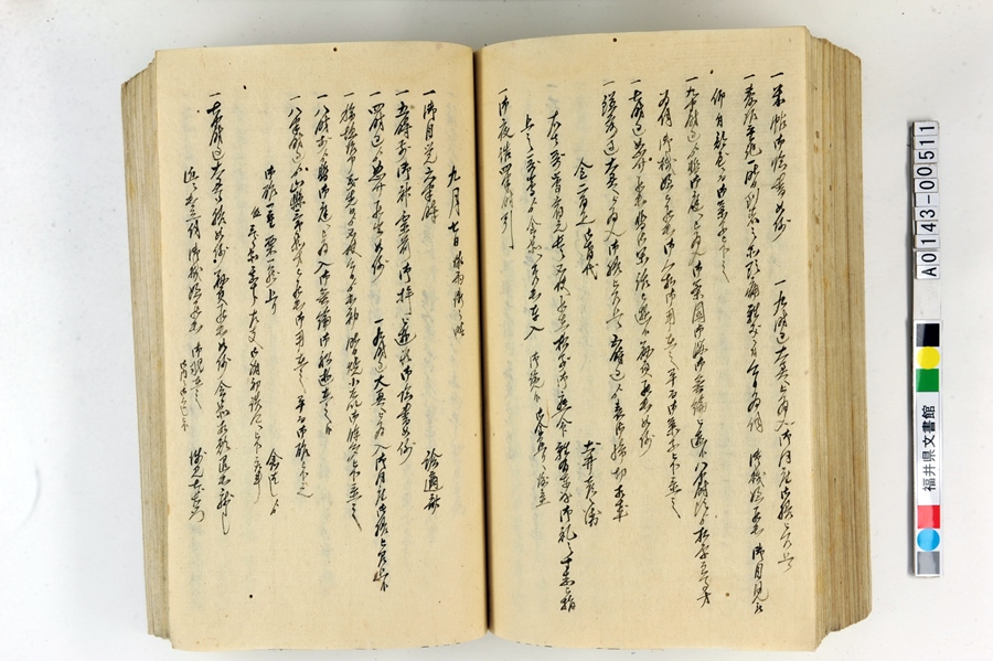 「御側向頭取御用日記」（1）194ページ