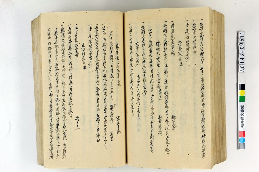 「御側向頭取御用日記」（1）195ページ