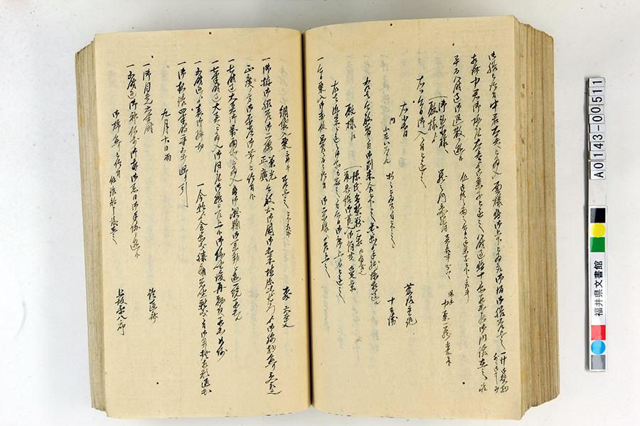 「御側向頭取御用日記」（1）196ページ