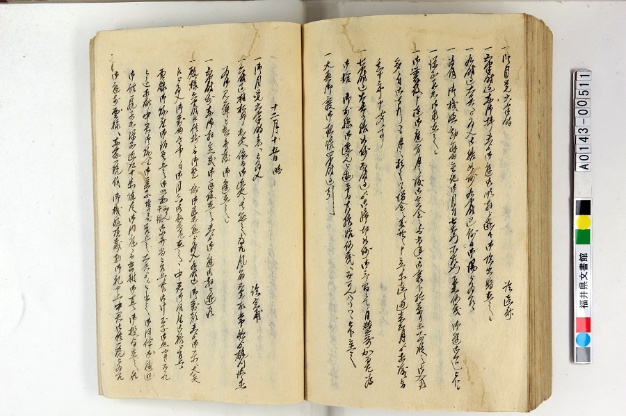 䑤pLi1j261