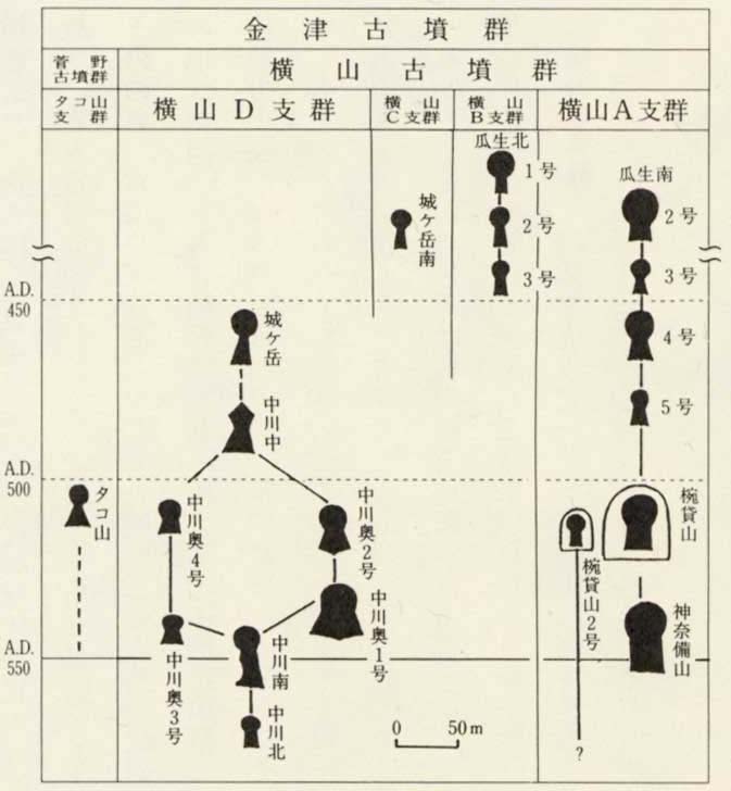 図29　横山・菅野古墳群の首長系譜
