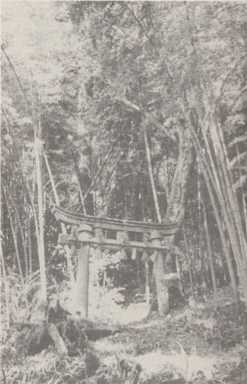 写真81 足羽郡波着寺跡(福井市成願寺町)