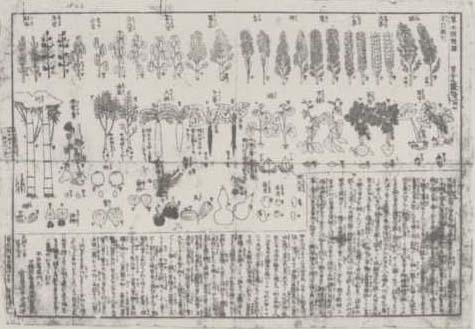 写真30 「草木撰種録」