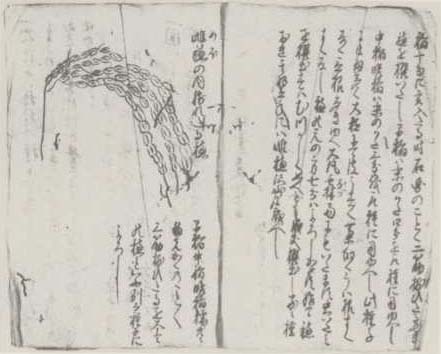 写真34 「農稼業事抜書」(部分