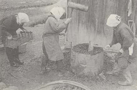 写真70 ころび搗き