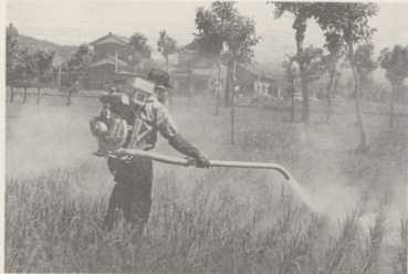写真80 農薬の散布