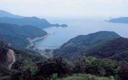 遠敷郡志積浦