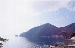 三方郡常神浦