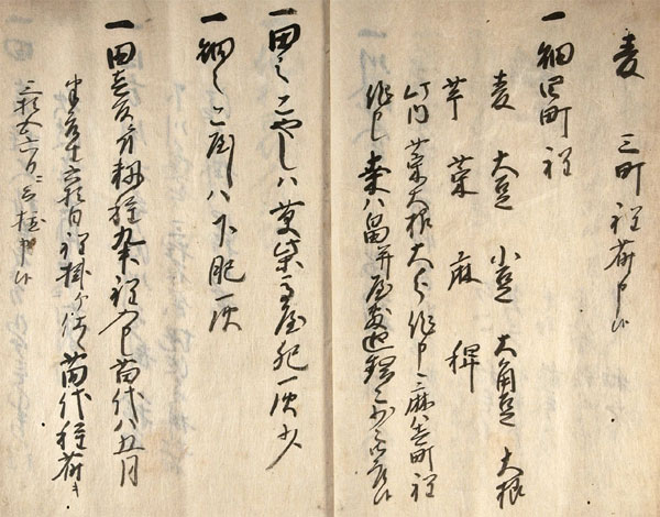東俣村鑑　画像（5）