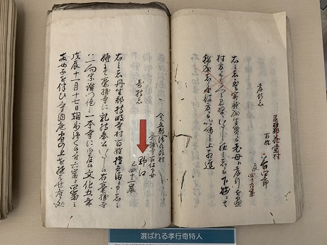 「越前国孝行奇特人行状書」（草稿）