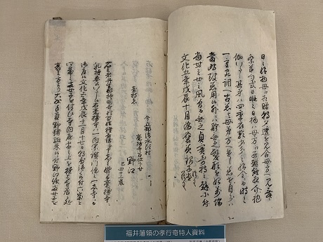 「越前国孝行奇特人行状書」（控）