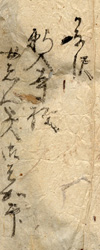 願入寺のいちょうの包紙