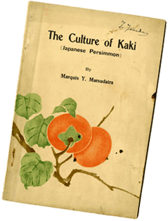  松平康荘『The Culture of Kaki』
