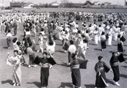 集団演技 練習風景　1966年（昭和41）県広報写真60275　福井県文書館蔵