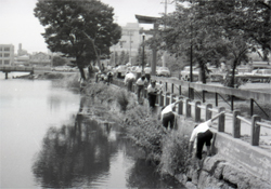 町や村をきれいにする運動  1967年（昭和42）県広報写真63113　福井県文書館蔵