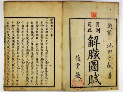 kaizouzuhu