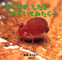 おちばのしたをのぞいてみたら…
