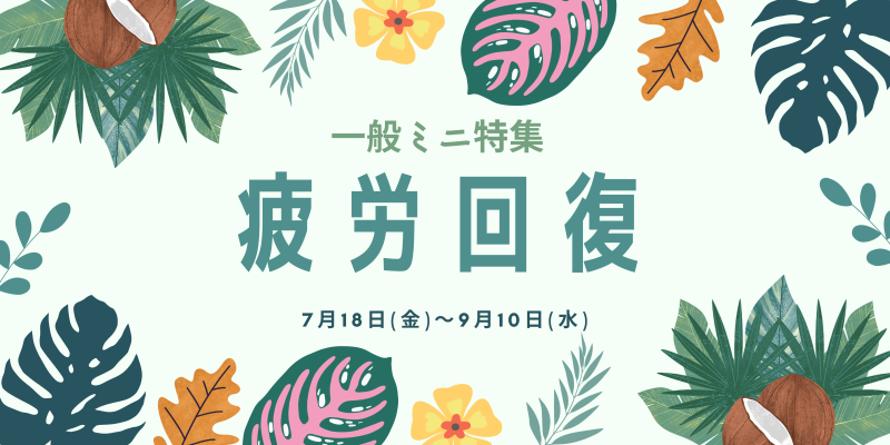 疲労回復 コーナー 疲労回復 コーナー